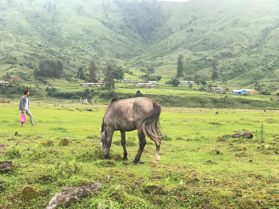 Photo of Arunachal Pradesh, India by Nancy Kaman