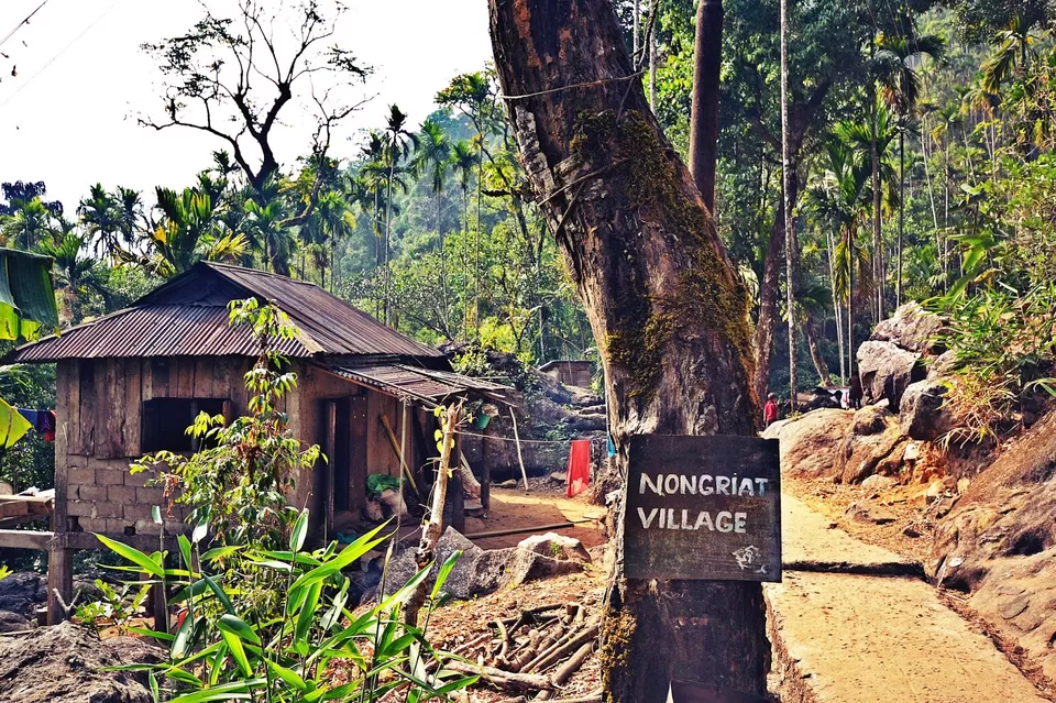 Photo of Nongriat, Meghalaya, India by Nerdy Adventuress