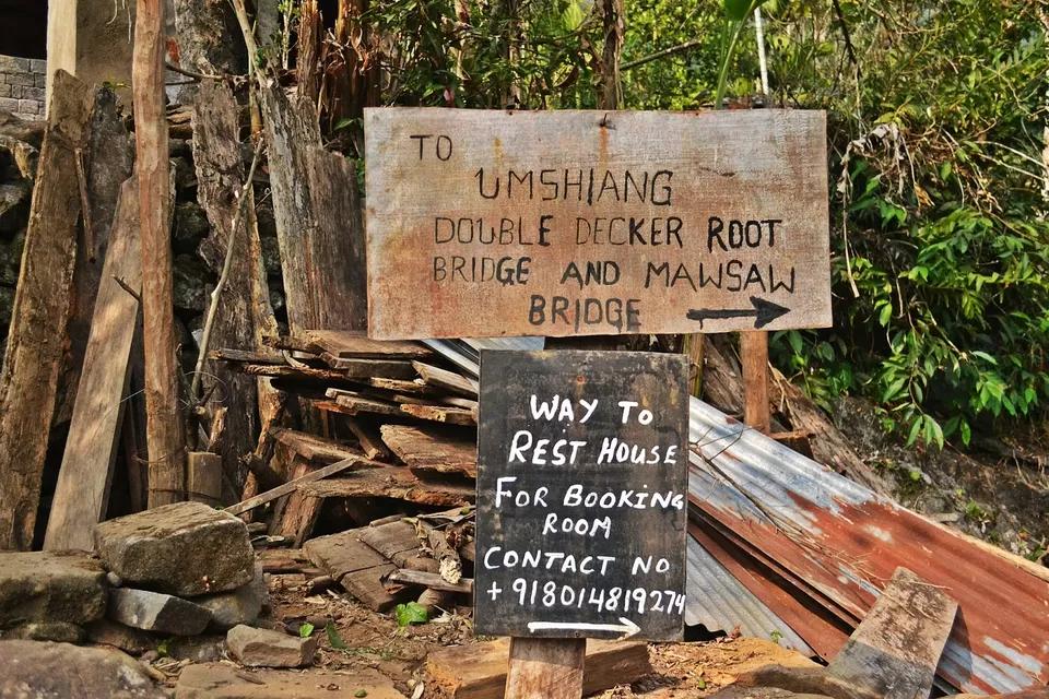 Photo of Living Root Bridge, East Khasi Hills, Meghalaya, India by Nerdy Adventuress