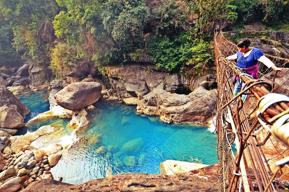 Photo of Living Root Bridge, East Khasi Hills, Meghalaya, India by Nerdy Adventuress
