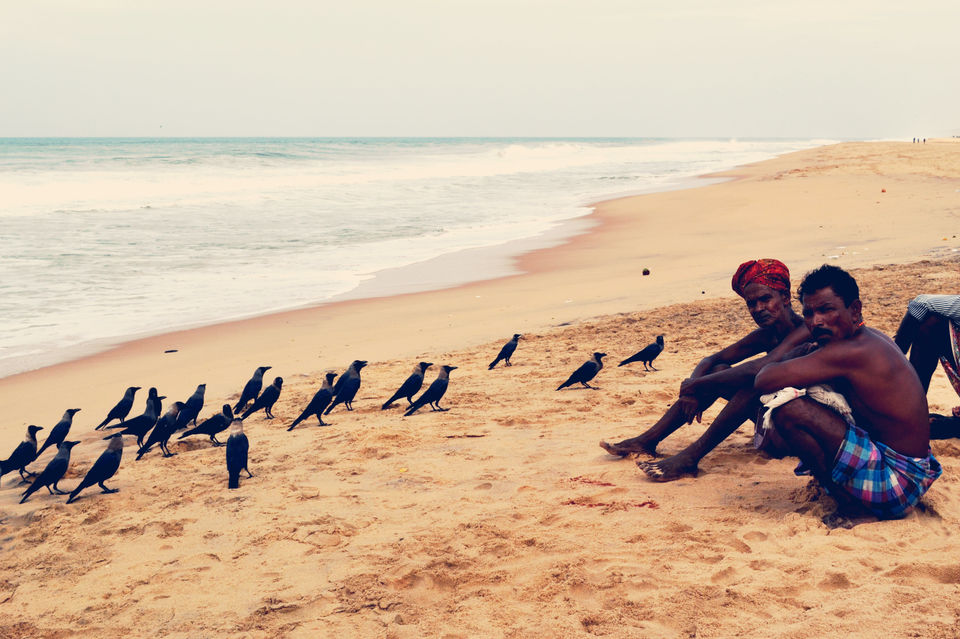 Photo of Where the river meets the sea & the sea meets the bank- Poovar, Kerala 5/15 by Nerdy Adventuress