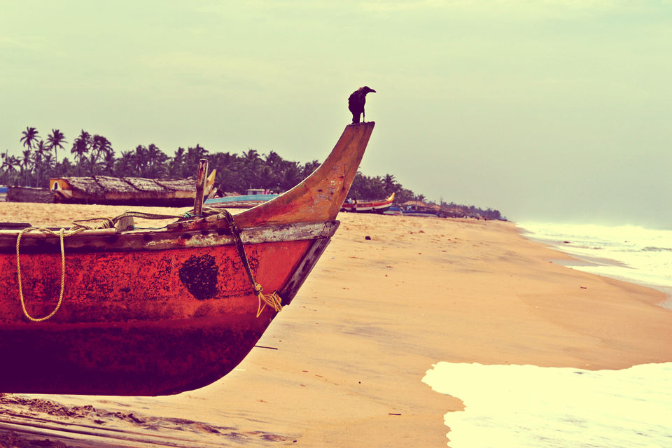 Photo of Where the river meets the sea & the sea meets the bank- Poovar, Kerala 8/15 by Nerdy Adventuress