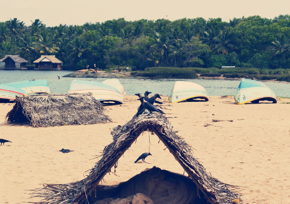 Photo of Where the river meets the sea & the sea meets the bank- Poovar, Kerala 9/15 by Nerdy Adventuress