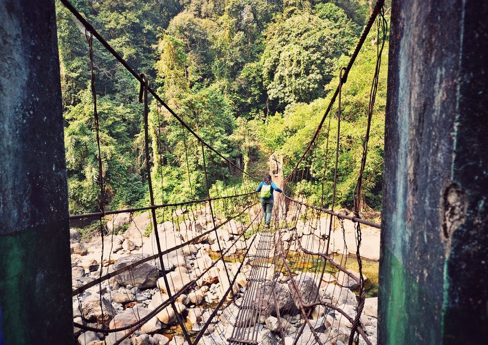 Photo of A Trip to Paradise: Natural Pool & Living Bridge 1/9 by Nerdy Adventuress