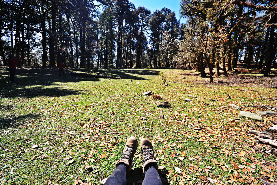 Photo of My Golden Rules for Roopkund Trek - Deep Breathing & Baby Steps!! 2/48 by Nerdy Adventuress