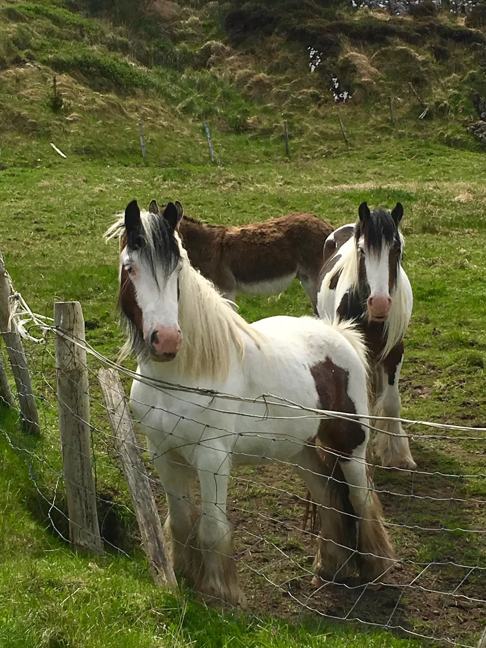 Photo of Carrickfinn, County Donegal, Ireland by Curlycuetrails