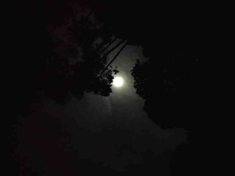 Photo of Himachal Diaries: Weekend Spent in Kasauli by Mihir Vatsa