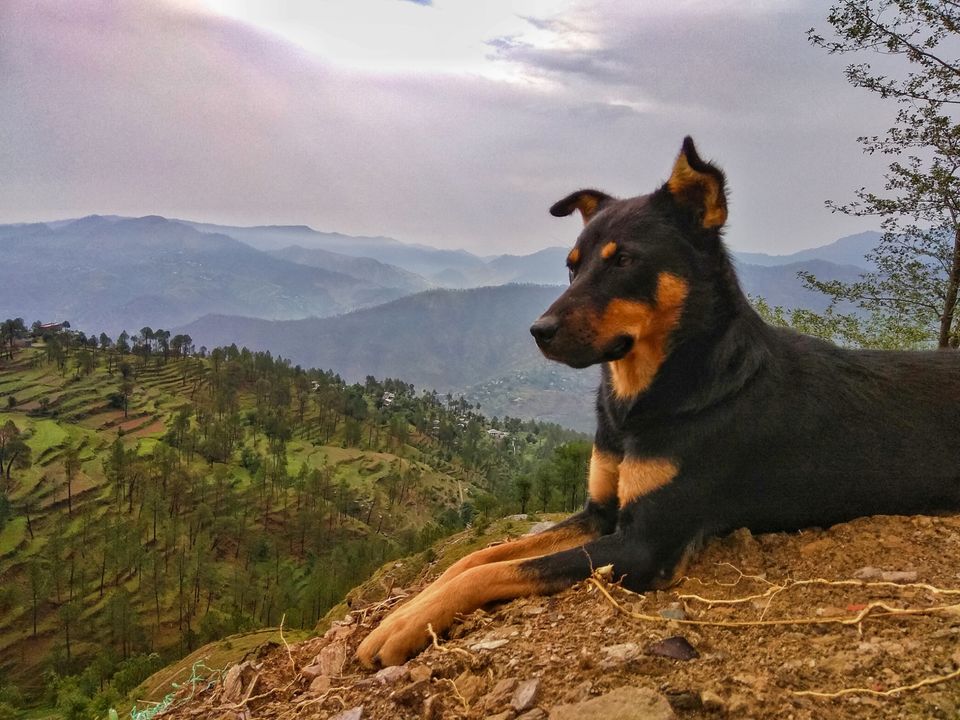 Photo of Kasar Devi Temple, Almora Rd, Khatyari, Almora, Uttarakhand, India by Siaa amreen