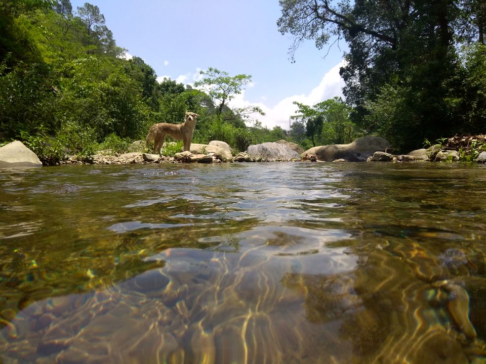 Photo of Jeolikote, Uttarakhand, India by Siaa amreen