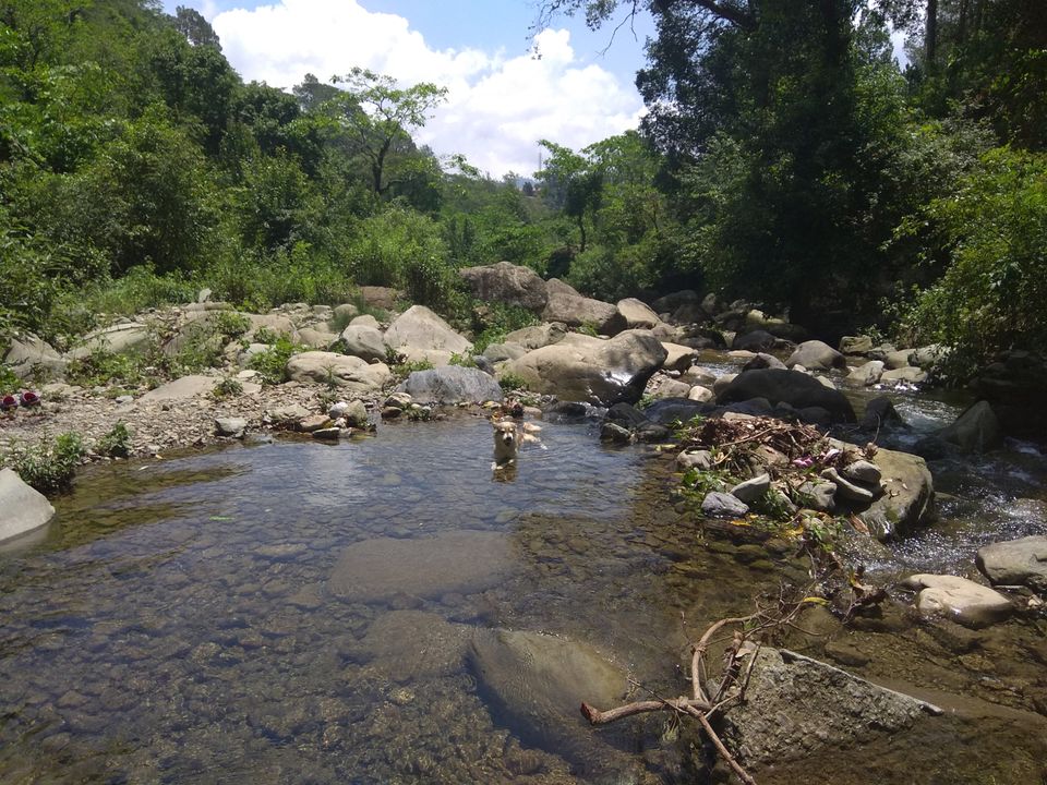 Photo of Jeolikote, Uttarakhand, India by Siaa amreen