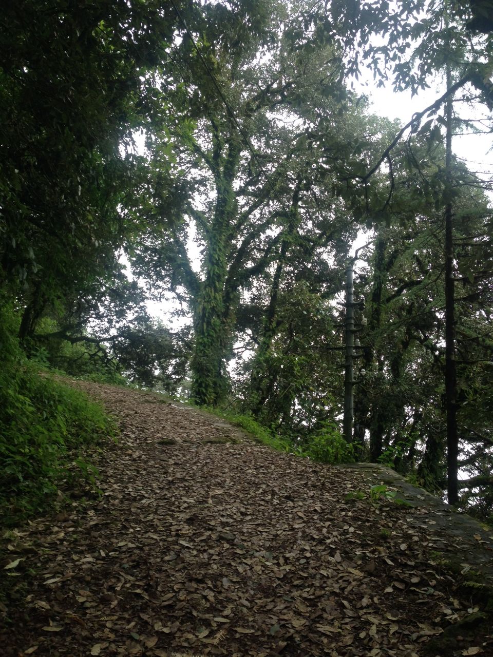 Photo of The surreal Landour 2/10 by Smriti Nagpal