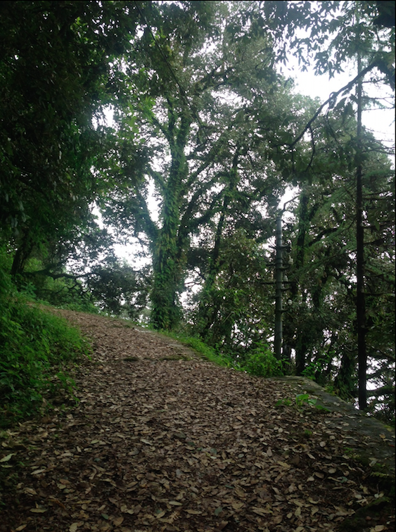 Photo of The surreal Landour 6/10 by Smriti Nagpal