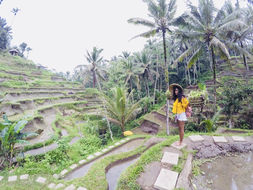 Photo of A countryside adventure: Cycling beyond the Bali everyone knows! by Sharanya Iyer
