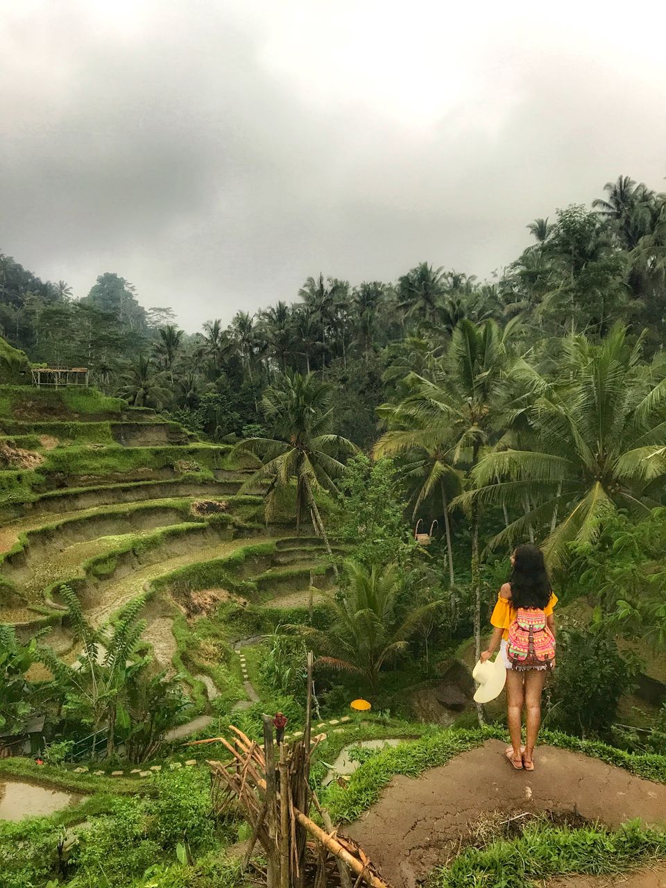 Photo of Tegallalang, Gianyar, Bali, Indonesia by Sharanya Iyer