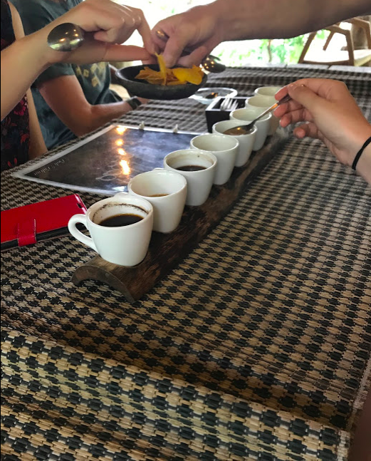 Photo of Bali Luwak Coffee Plantation Office, Gang Kusuma, Pedungan, Denpasar City, Bali, Indonesia by Sharanya Iyer