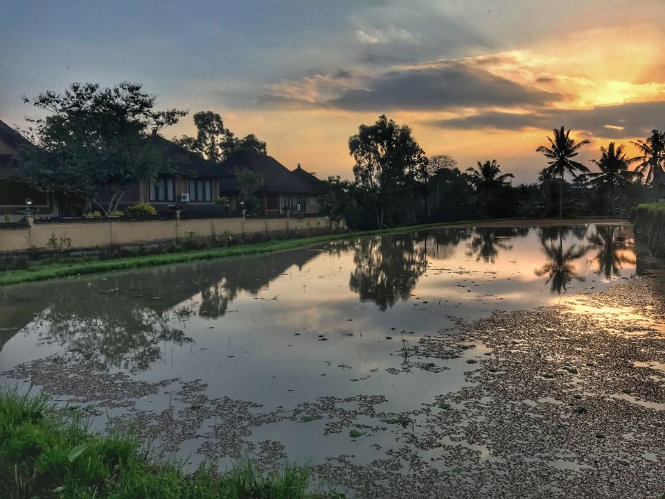 Photo of Pura Kehen, Cempaga, Bangli Regency, Bali, Indonesia by Sharanya Iyer