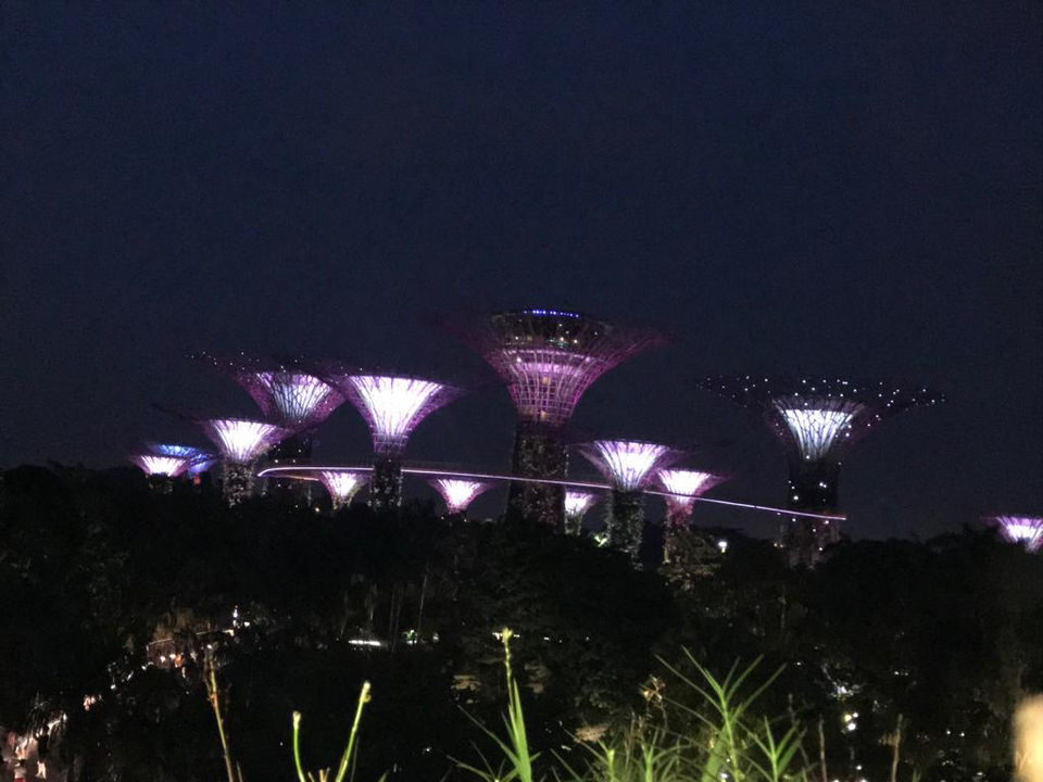 Photo of Free Things To Do In Singapore by Yasmin Mirza