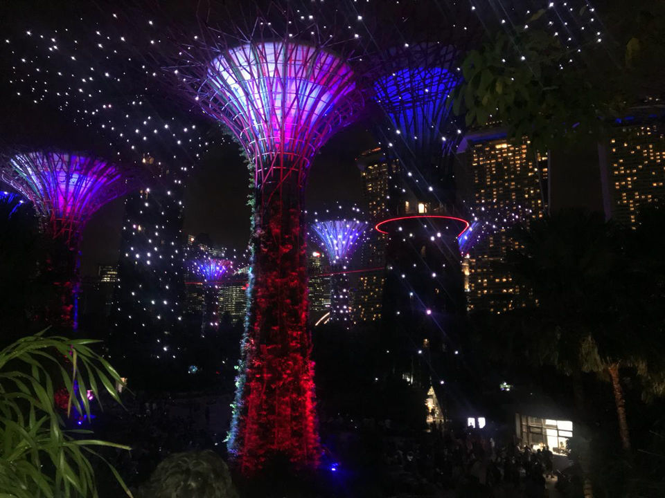 Photo of Free Things To Do In Singapore by Yasmin Mirza