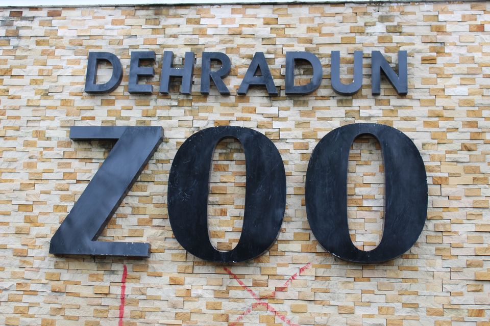 Photo of Dehradun Zoo, Malsi, Dehradun, Uttarakhand, India by Yasmin Mirza