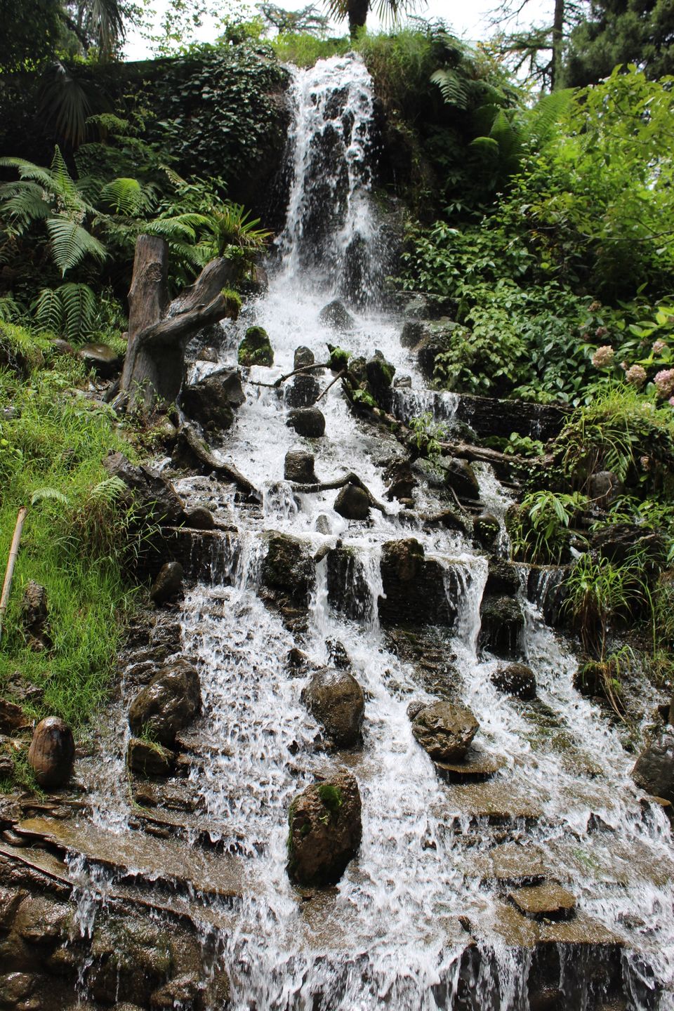 Photo of Company Bagh, The Mall Road, Mussoorie, Uttarakhand, India by Yasmin Mirza
