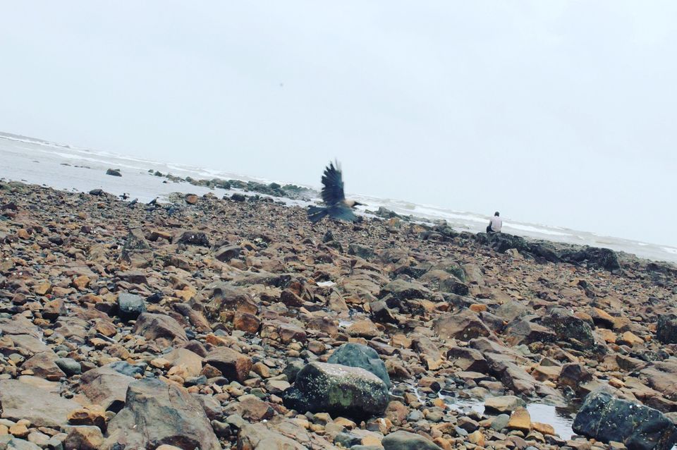 Photo of Haji Ali Dargah, Haji Ali, Mumbai by Yasmin Mirza