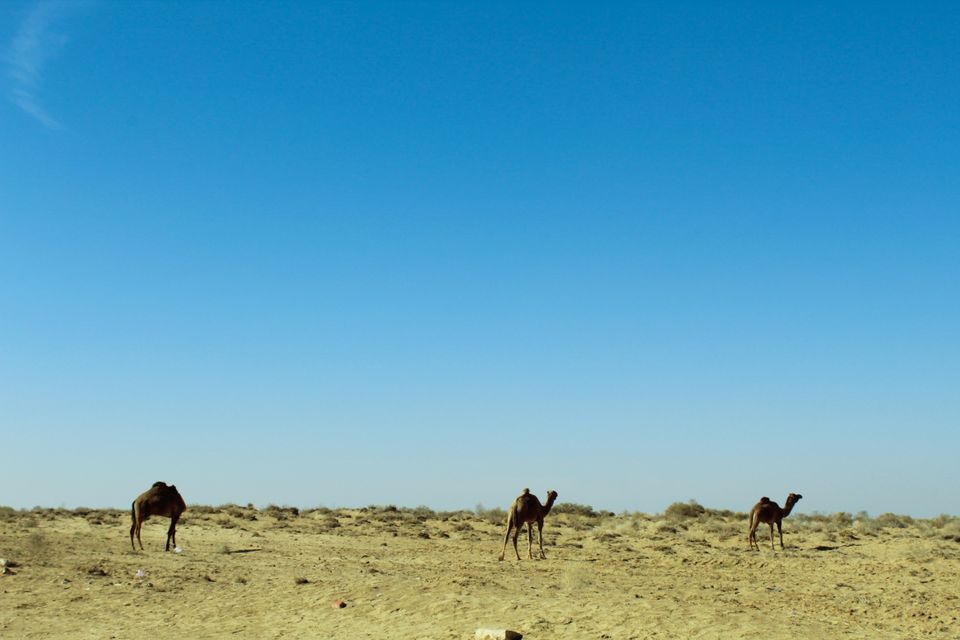 Photo of Why Dubai, Visit Jaisalmer - Jane kya dikh jaye by Yasmin Mirza
