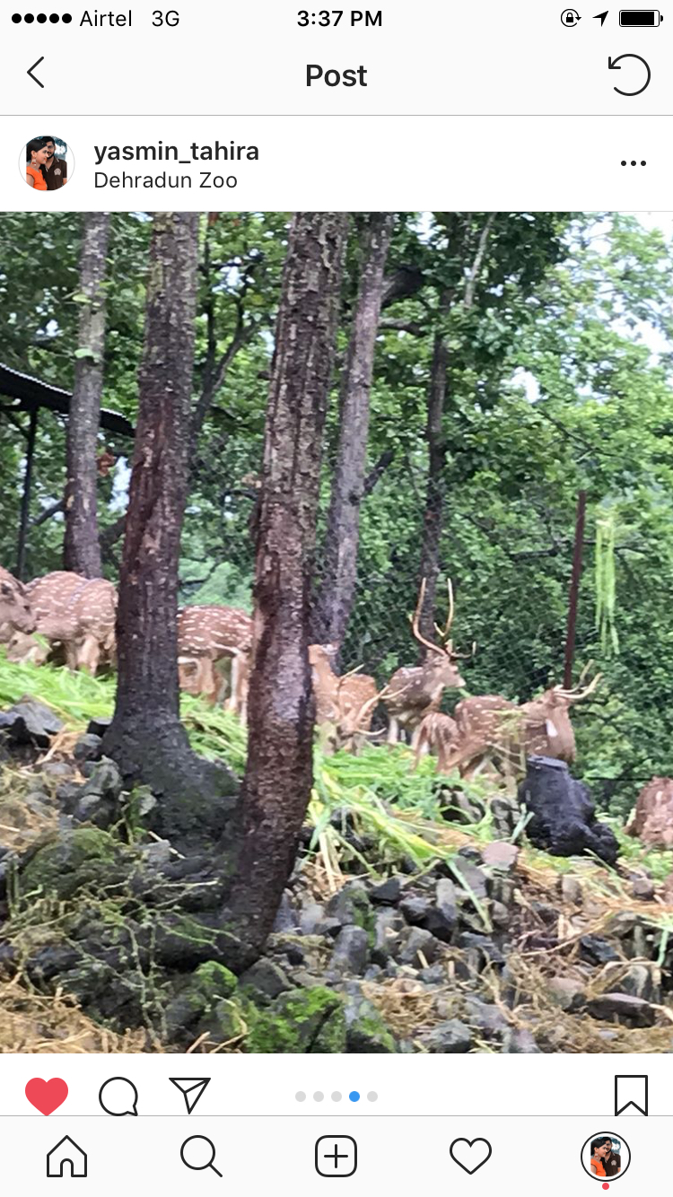 Photo of A Day in Dehradun by Yasmin Mirza
