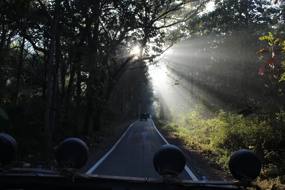 Photo of Sitabani Wildlife Reserve, Ramnagar, Uttarakhand, India by Yasmin Mirza