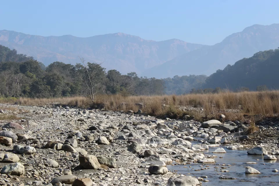 Photo of Jim Corbett Jungle Safari- Weekend Gateway From Delhi by Yasmin Mirza