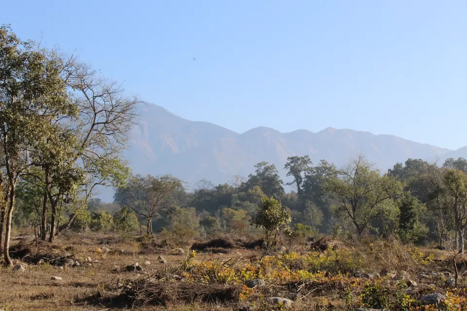 Photo of Jim Corbett Jungle Safari- Weekend Gateway From Delhi by Yasmin Mirza