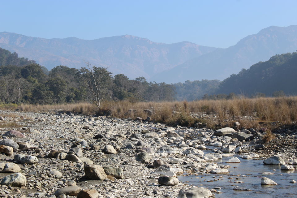 Photo of Jim Corbett Jungle Safari- Weekend Gateway From Delhi by Yasmin Mirza