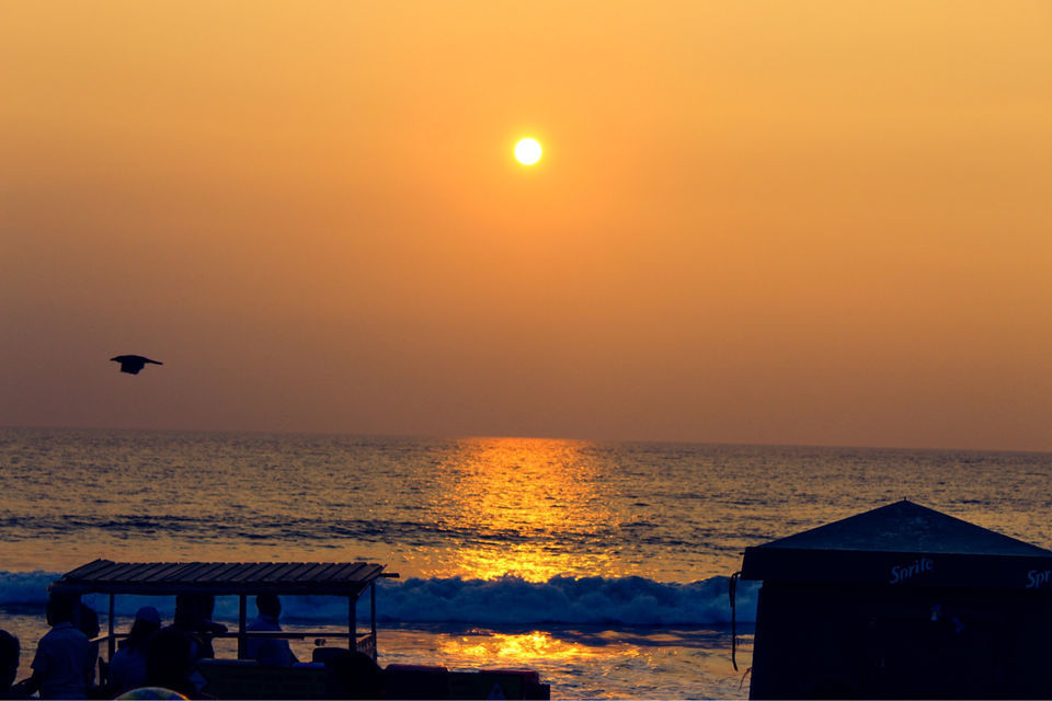 Photo of Srilanka - Colombo 2/3 by Yasmin Mirza