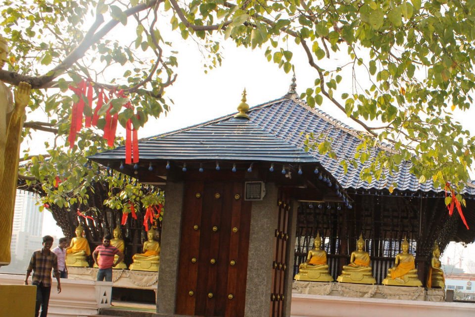 Photo of Srilanka - Colombo by Yasmin Mirza