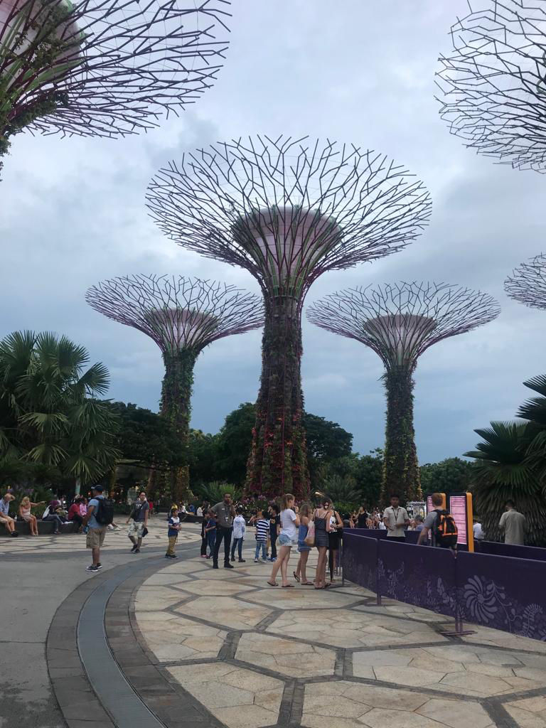 Photo of Free Things To Do In Singapore by Yasmin Mirza