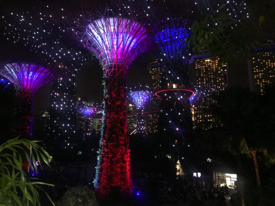 Photo of Coffee shop Gardens by the bay, Singapore by Yasmin Mirza