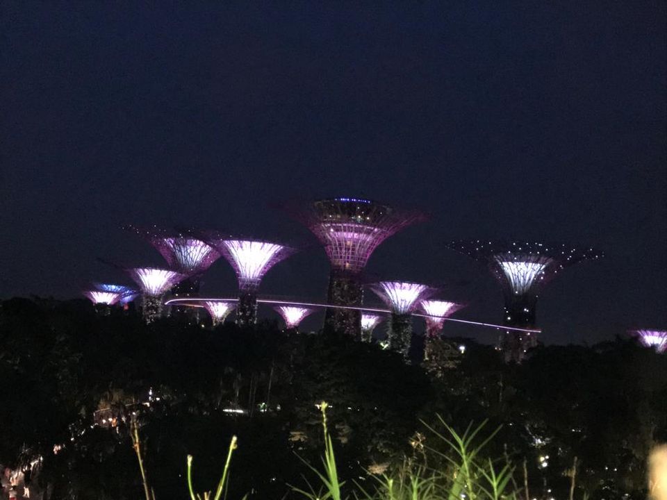 Photo of Coffee shop Gardens by the bay, Singapore by Yasmin Mirza
