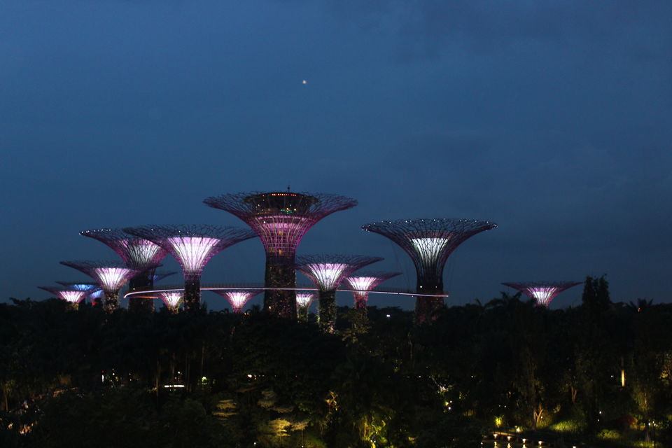Photo of Coffee shop Gardens by the bay, Singapore by Yasmin Mirza