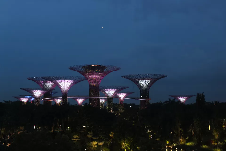 Photo of Coffee shop Gardens by the bay, Singapore by Yasmin Mirza