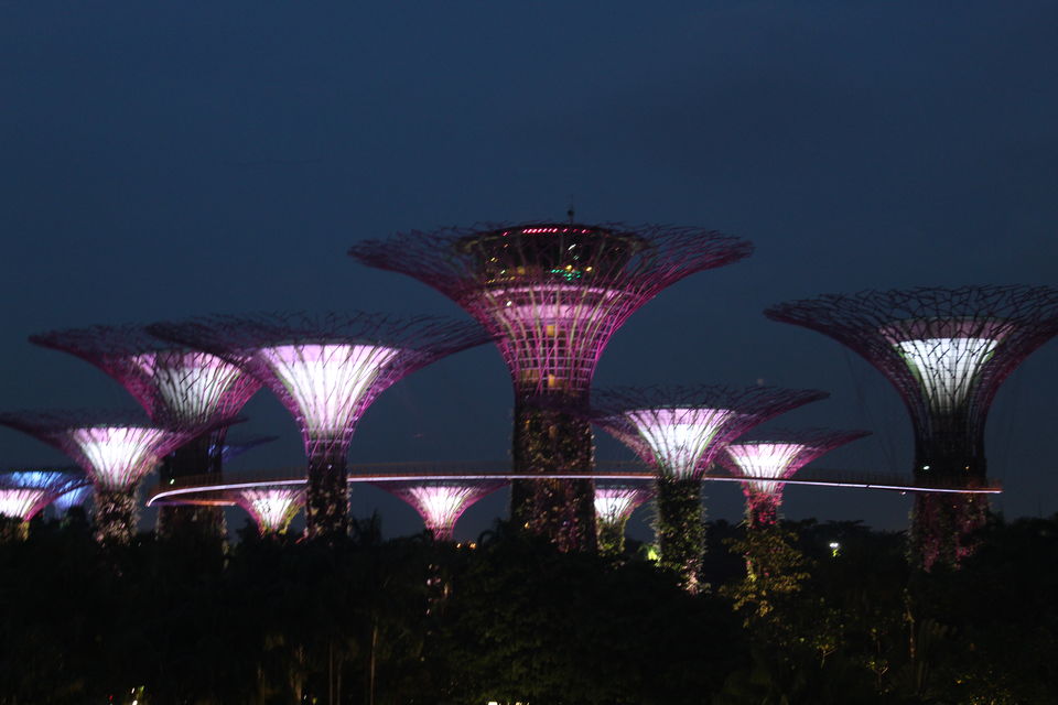 Photo of Coffee shop Gardens by the bay, Singapore by Yasmin Mirza