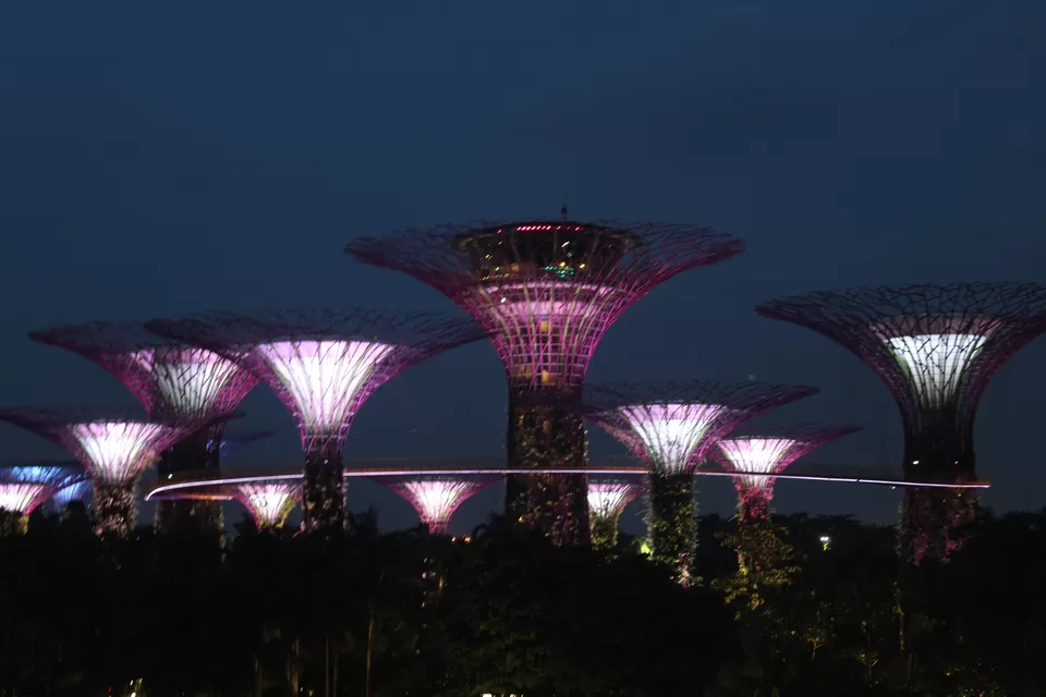 Photo of Coffee shop Gardens by the bay, Singapore by Yasmin Mirza