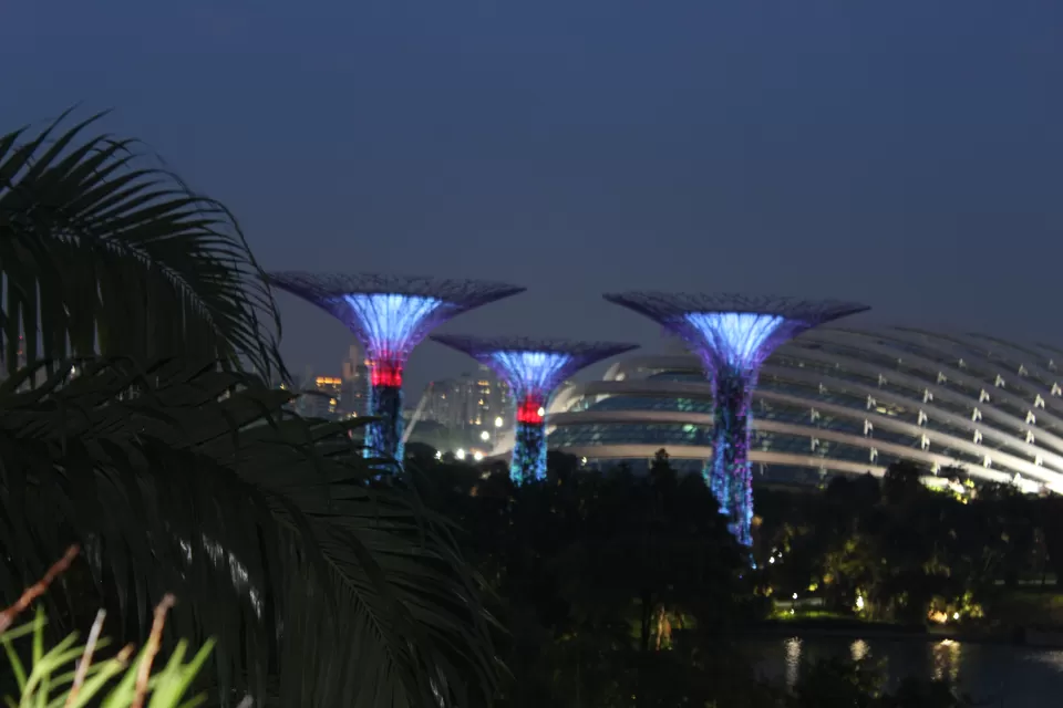 Photo of Coffee shop Gardens by the bay, Singapore by Yasmin Mirza