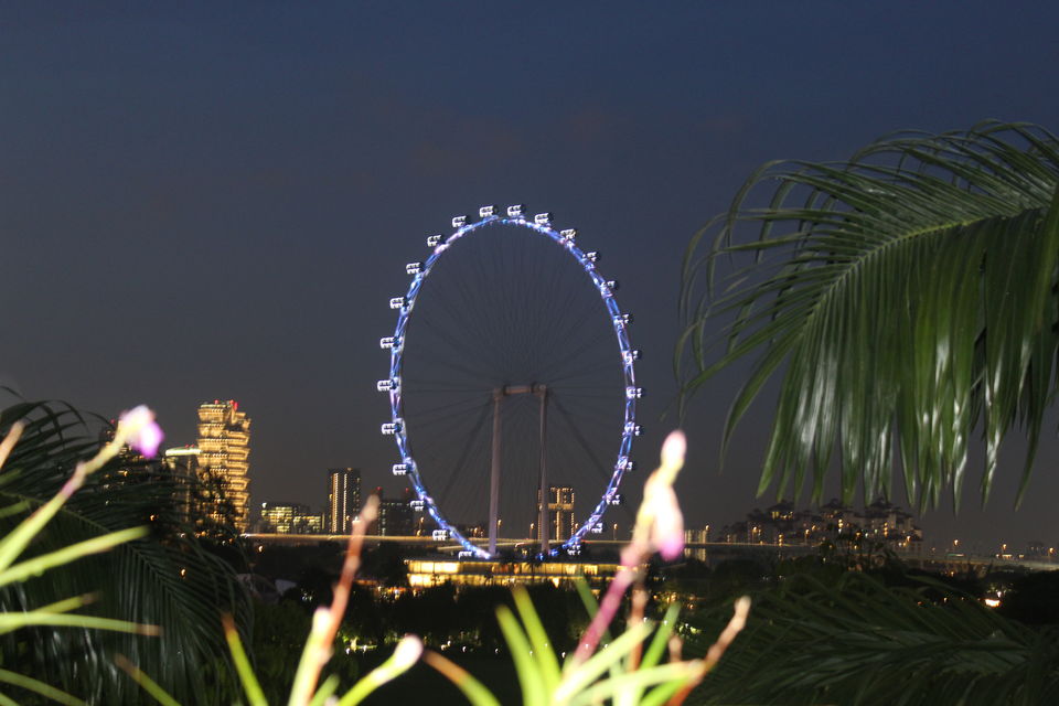 Photo of Coffee shop Gardens by the bay, Singapore by Yasmin Mirza