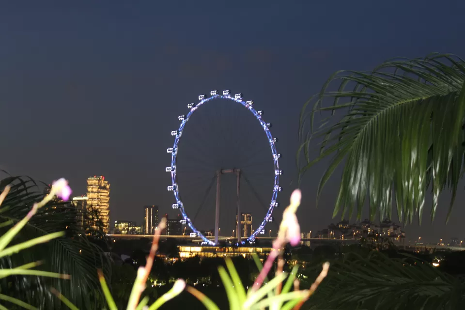 Photo of Coffee shop Gardens by the bay, Singapore by Yasmin Mirza