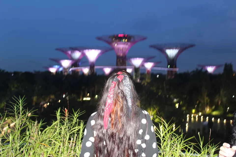 Photo of Coffee shop Gardens by the bay, Singapore by Yasmin Mirza