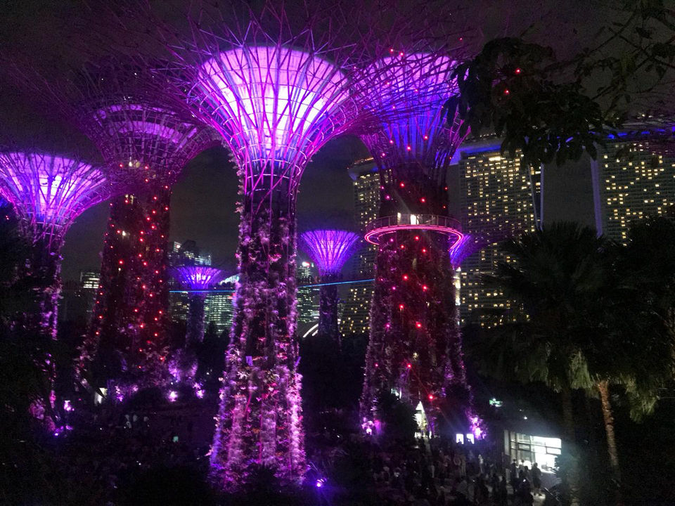 Photo of Singapore - Gardens by the Bay - Singapor by Yasmin Mirza