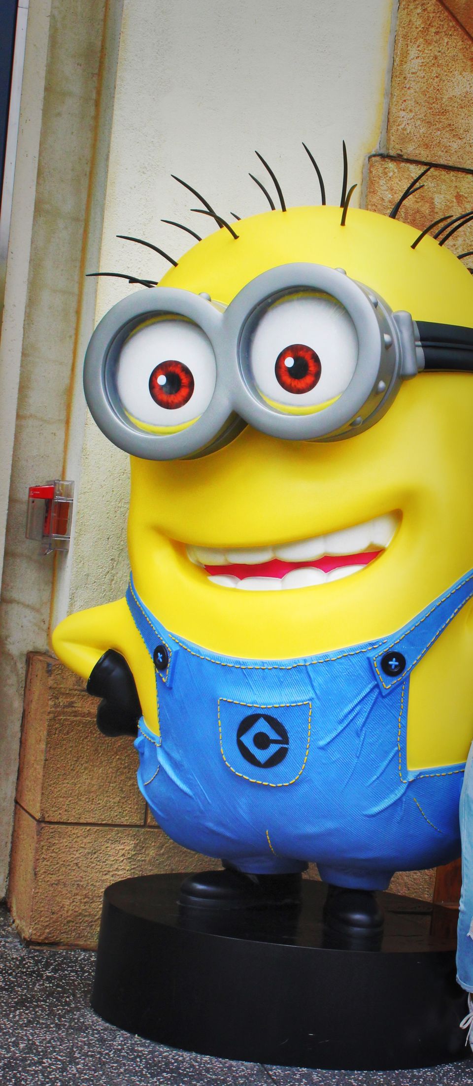 Photo of Singapore - Universal Studios Singapore 15/60 by Yasmin Mirza