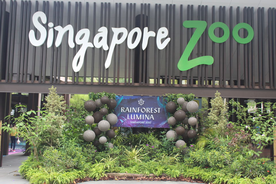 Photo of Singapore - Singapore Zoo 2/70 by Yasmin Mirza