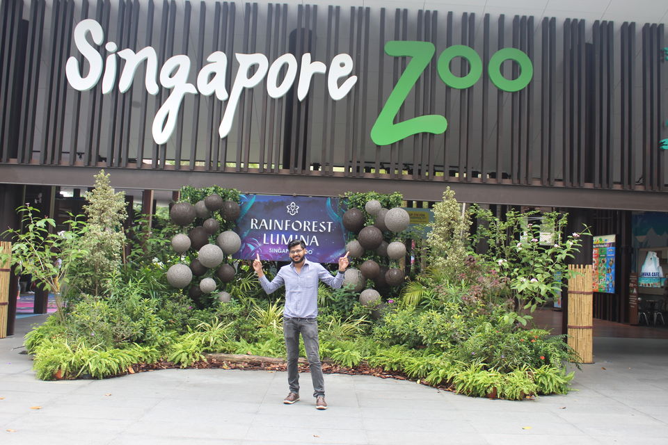 singapore zoo address