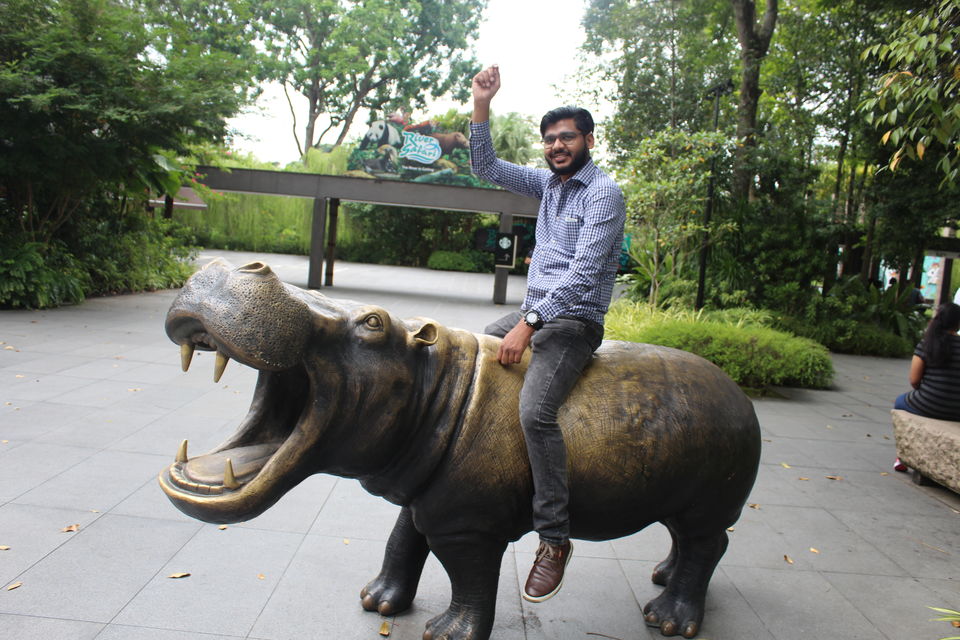 Photo of Singapore - Singapore Zoo 3/70 by Yasmin Mirza