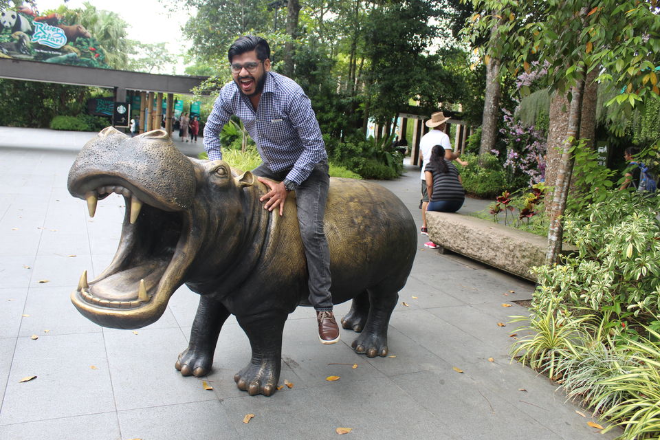 Photo of Singapore - Singapore Zoo 4/70 by Yasmin Mirza